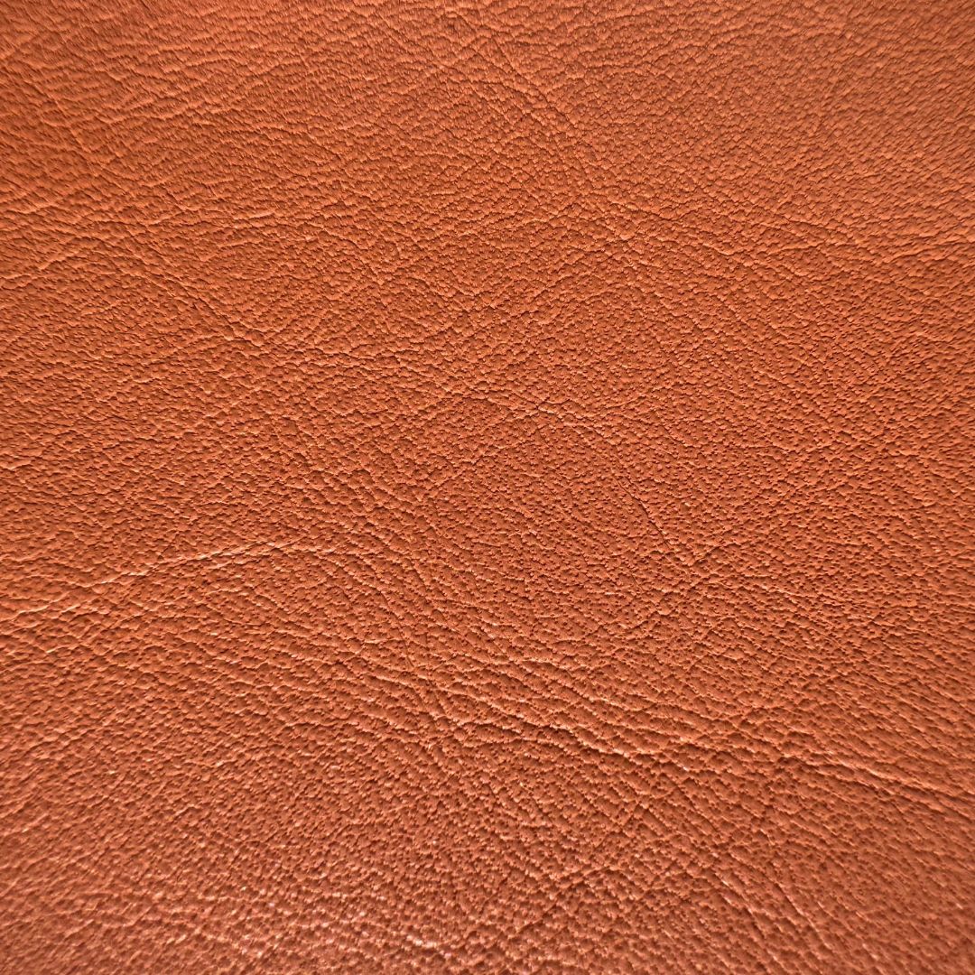 SUN-BURN-1315