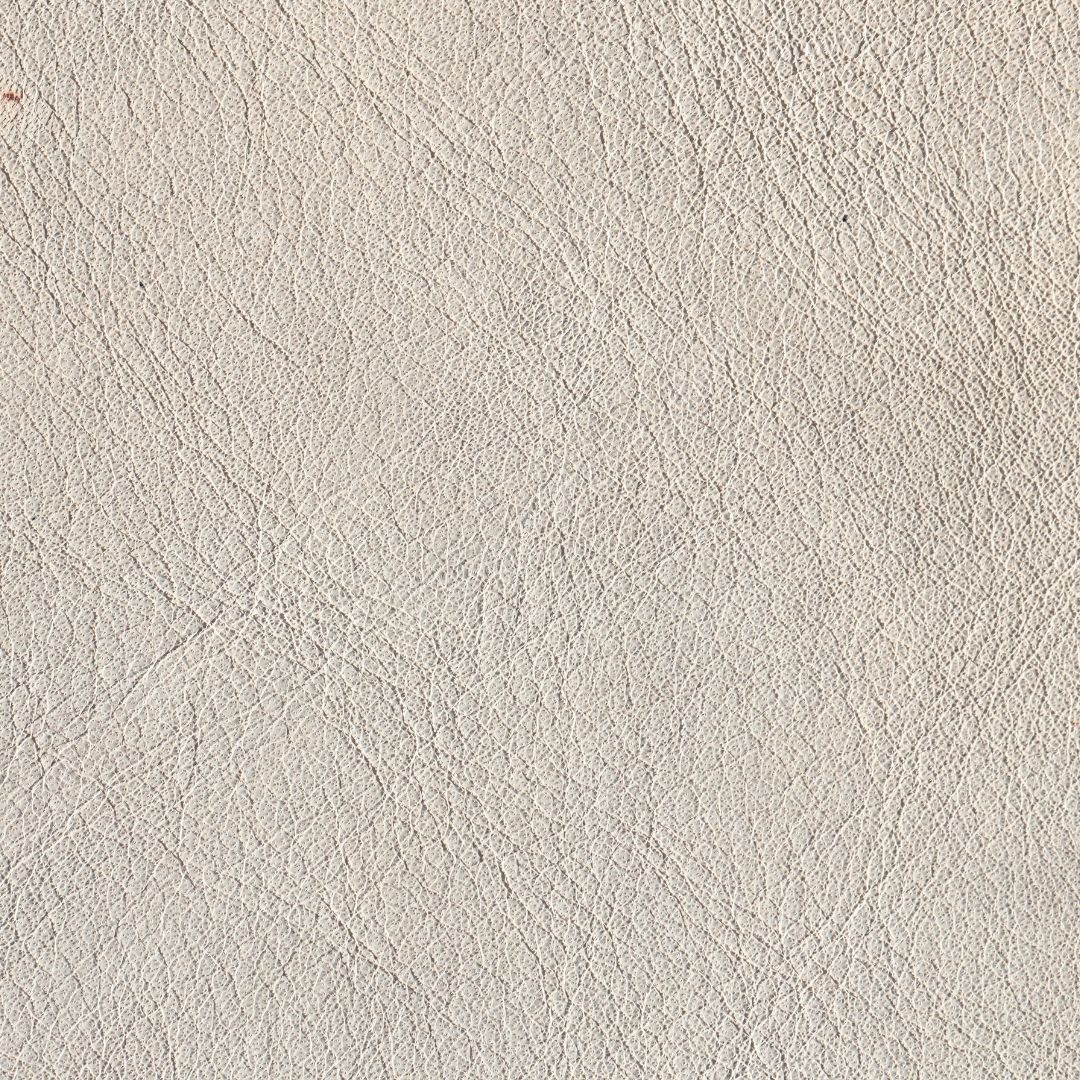 BEJ-1237