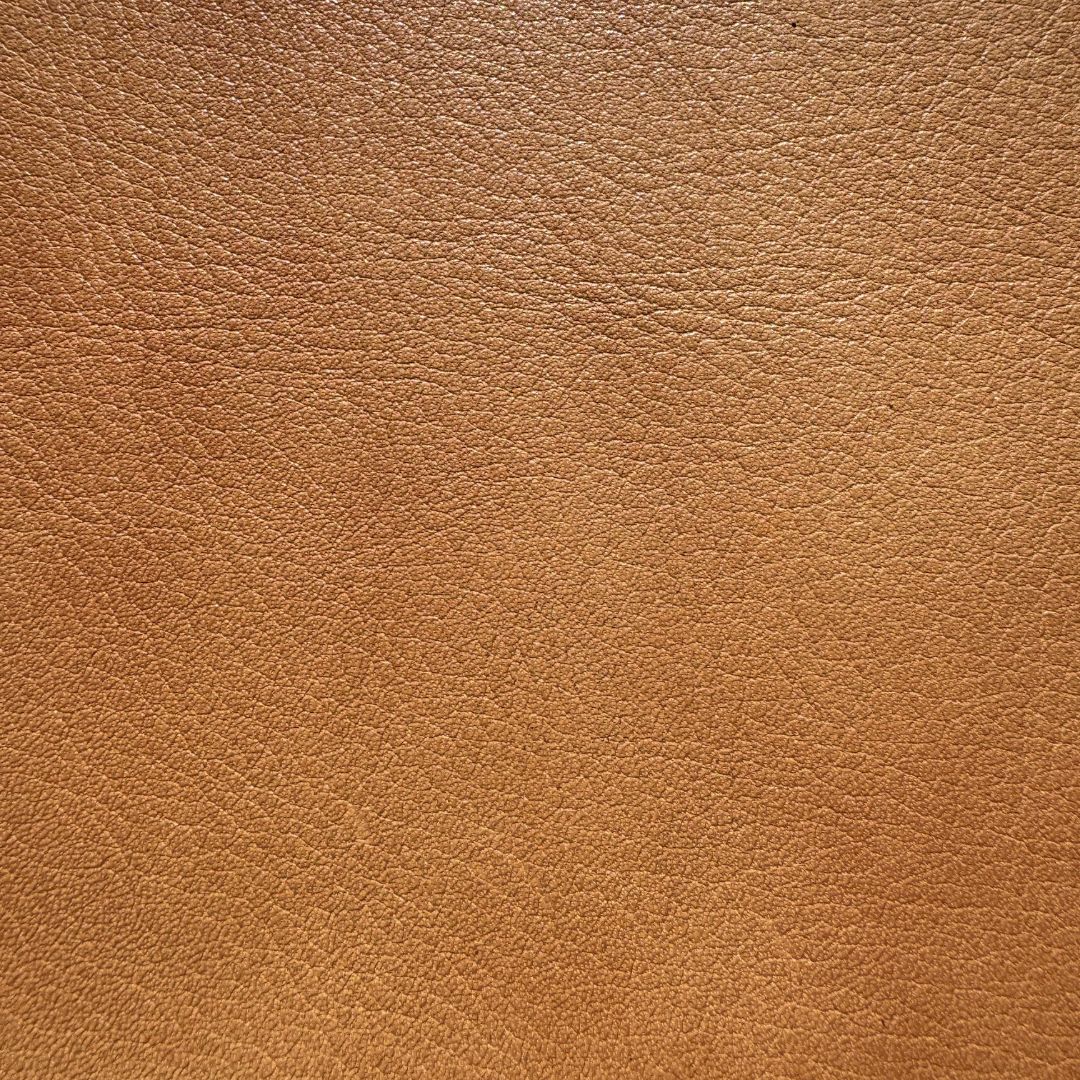SARI-TABA-640